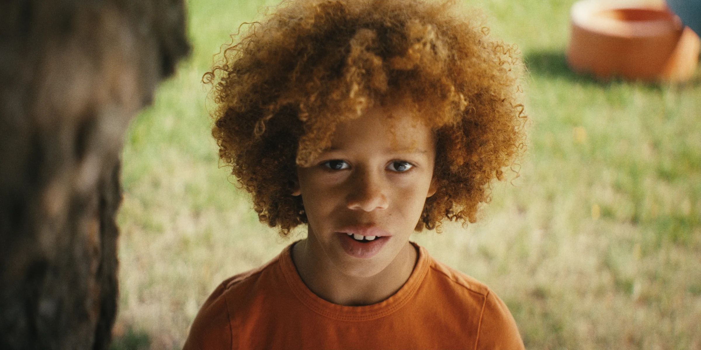 Portrait of a child in an orange shirt