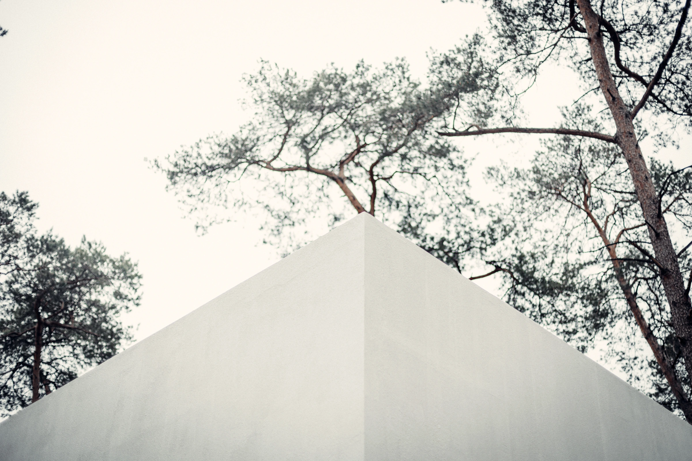 White stage architecture among pine trees