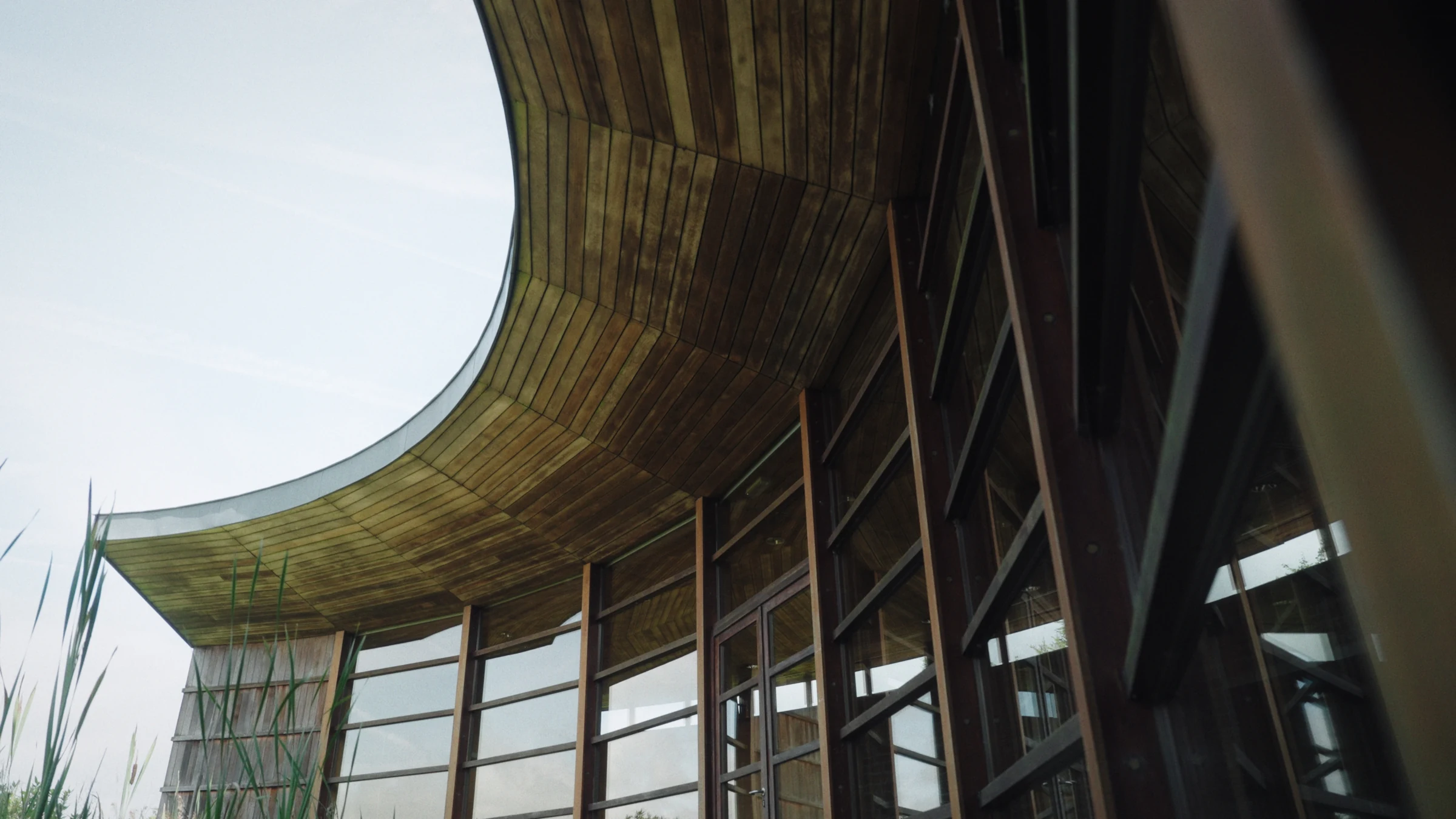 Curved timber roof and glass facade