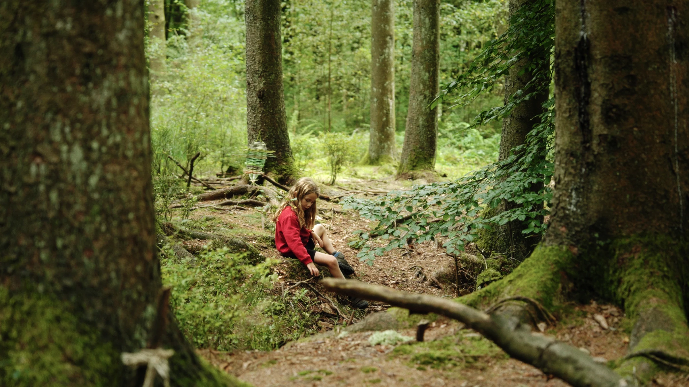 A girl in red exploring the woodland